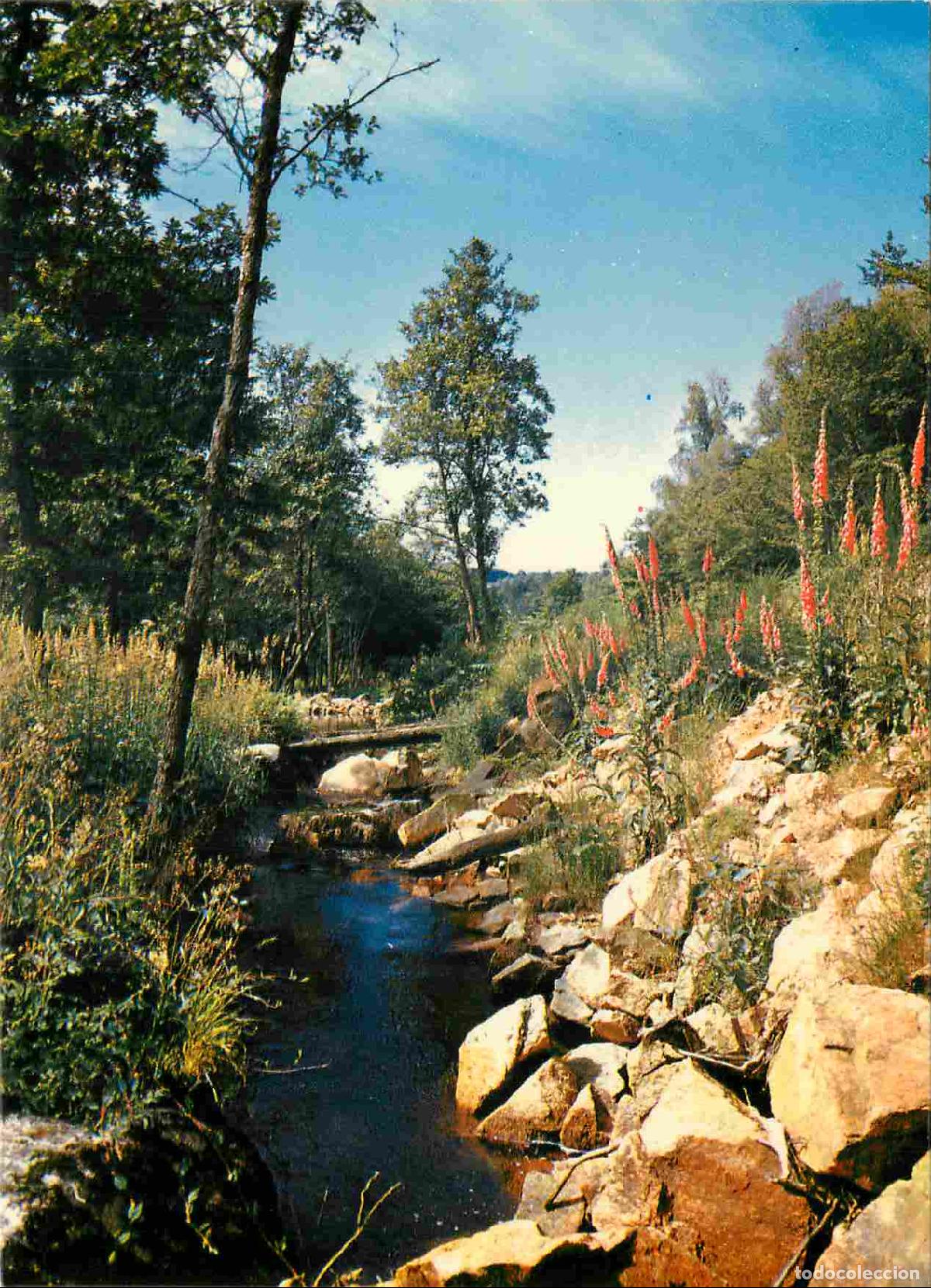 Postales: France - Carte Postale - 58 - Ni&egrave;vre - Morvan - Les bords du Vignan - CPM - Voir Scans Recto-Verso -