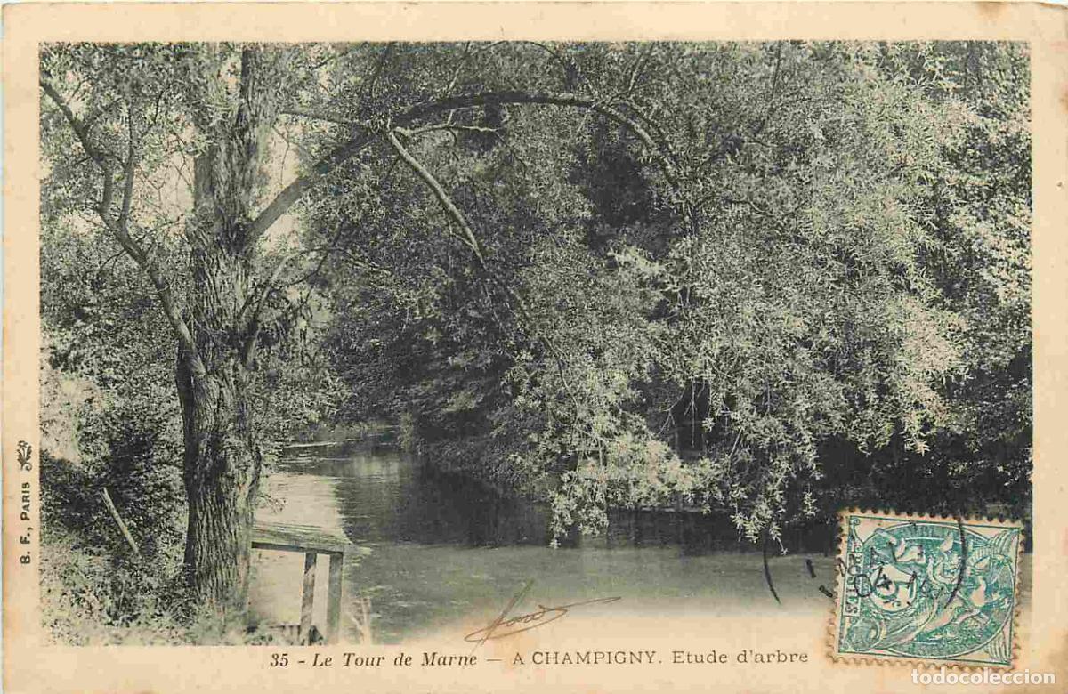 Postales: France - Carte Postale - 94 - Champigny sur Marne - Le Tour de Marne - Etude d'arbre - CPA - Voir Sc