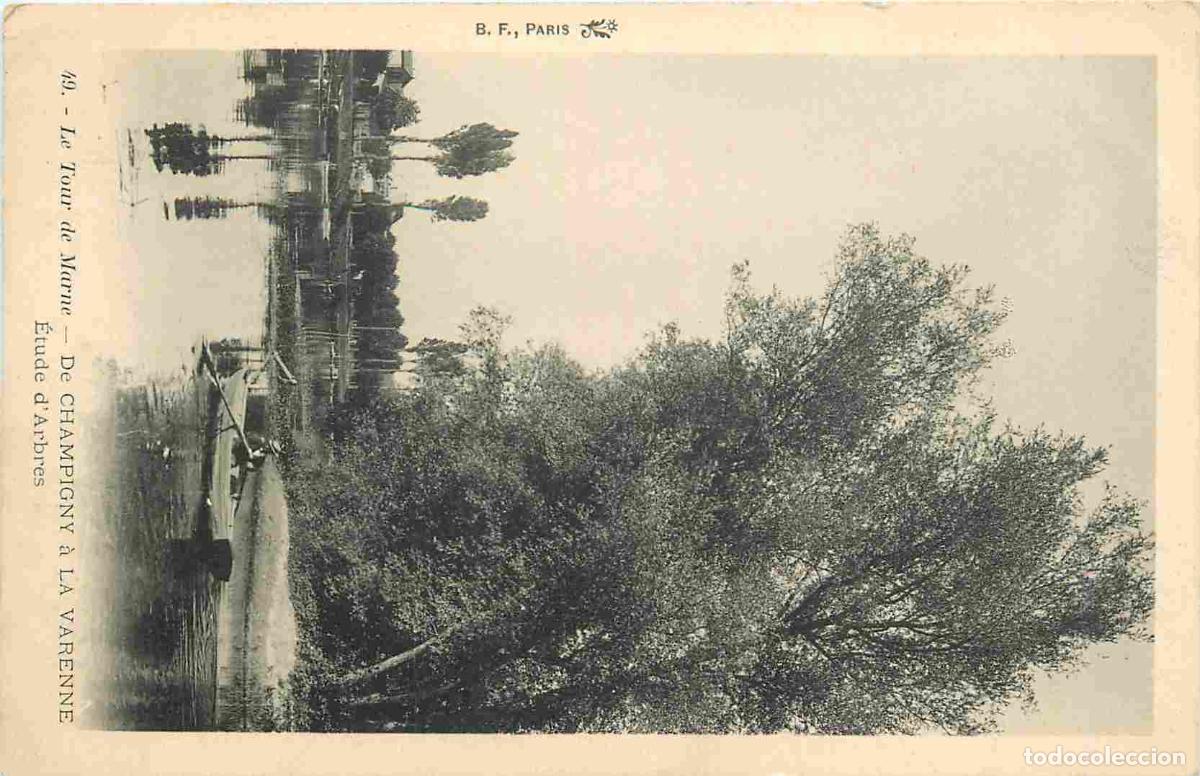 Postales: France - Carte Postale - 94 - Champigny sur Marne - Le Tour de Marne - Etude d'Arbres - CPA - Voir S