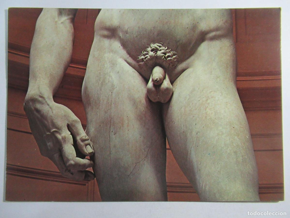 Postales: Firenze - Michelangelo - Il David - S/C - Foto 1