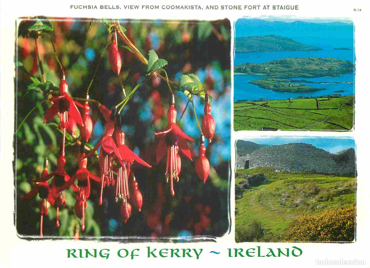 Postkarten: Carte Postale - Irlande - Ring Of Kerry - Multivues - Fuchsia bells view from Coomakista and stone f