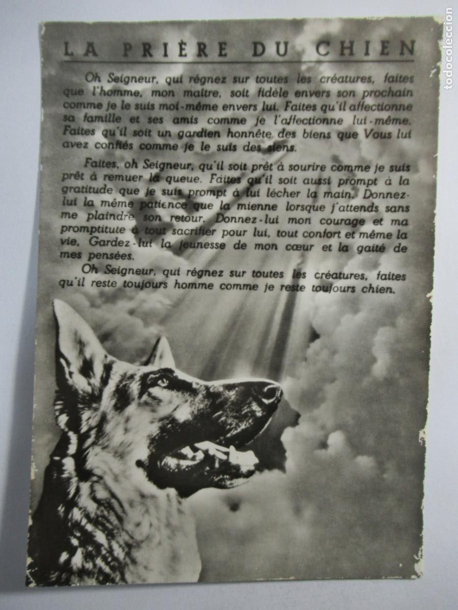Postales: La Pri&eacute;re du Chien - S/C