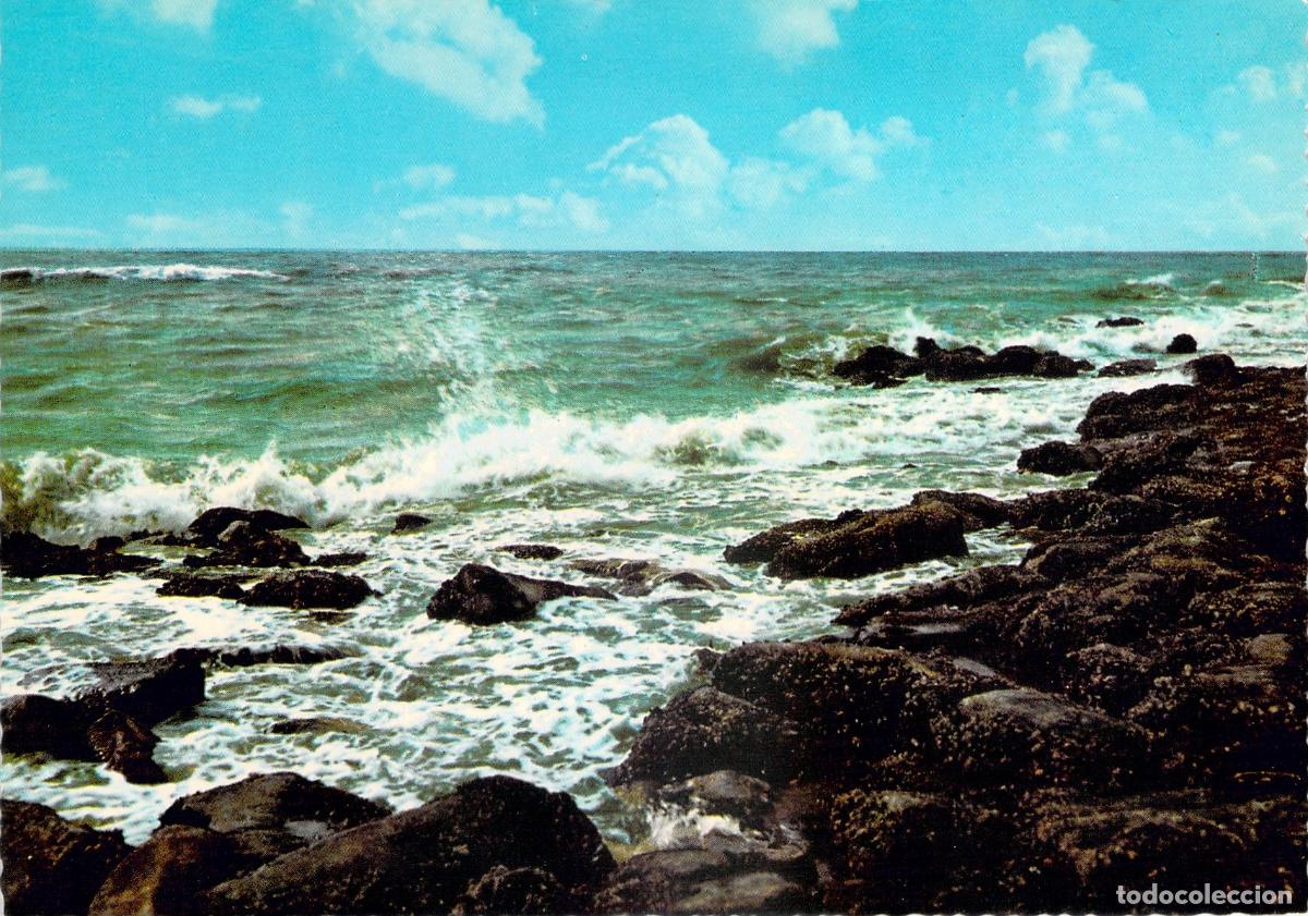 Postales: Postal de la Costa Belga con Paisaje de Rocas y Mar