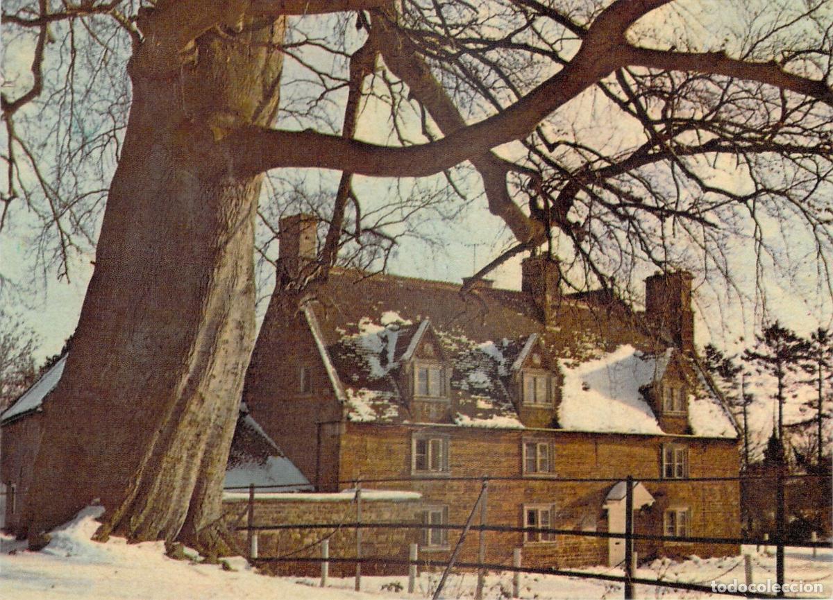 Postcards: Postal de Paisaje Nevado con Casa R&uacute;stica y &Aacute;rbol - Felicitaci&oacute;n de A&ntilde;o Nuevo