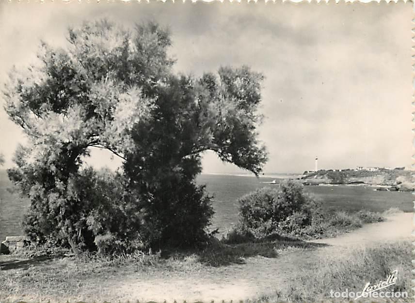 Postcards: Francia - Carte Postale - 64 - Biarritz - Vue sur le Phare - Mention Photographie v&eacute;ritable - CPSM g