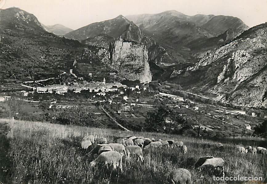 Cartoline: Francia - Carte Postale - 04 - Castellane - Vue G&eacute;n&eacute;rale - sur la Route Napol&eacute;on - Anim&eacute;e - Moutons