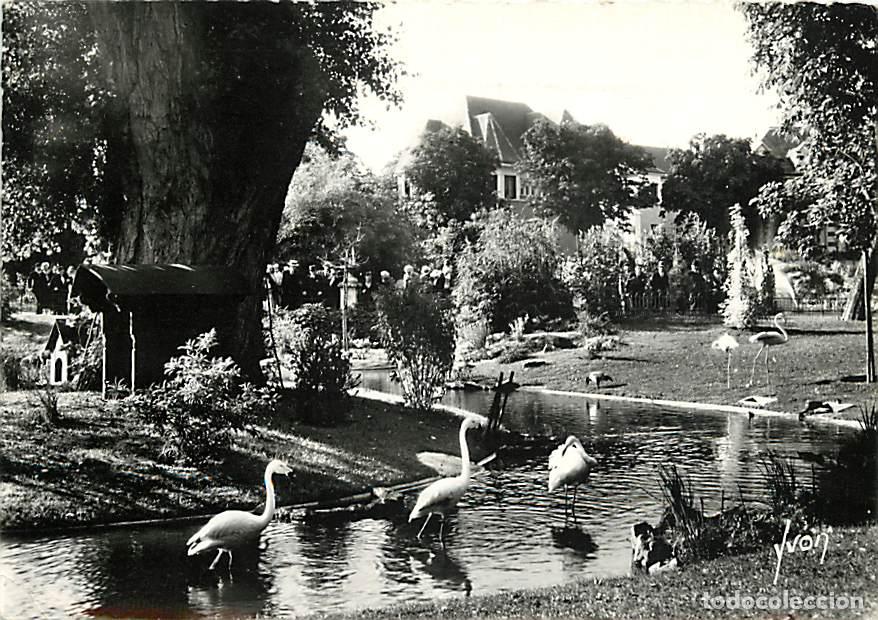 Postales: Francia - Carte Postale - 03 - Vichy - Le Parc - Flamants Roses - CPSM grand format - Etat l&eacute;ger pli