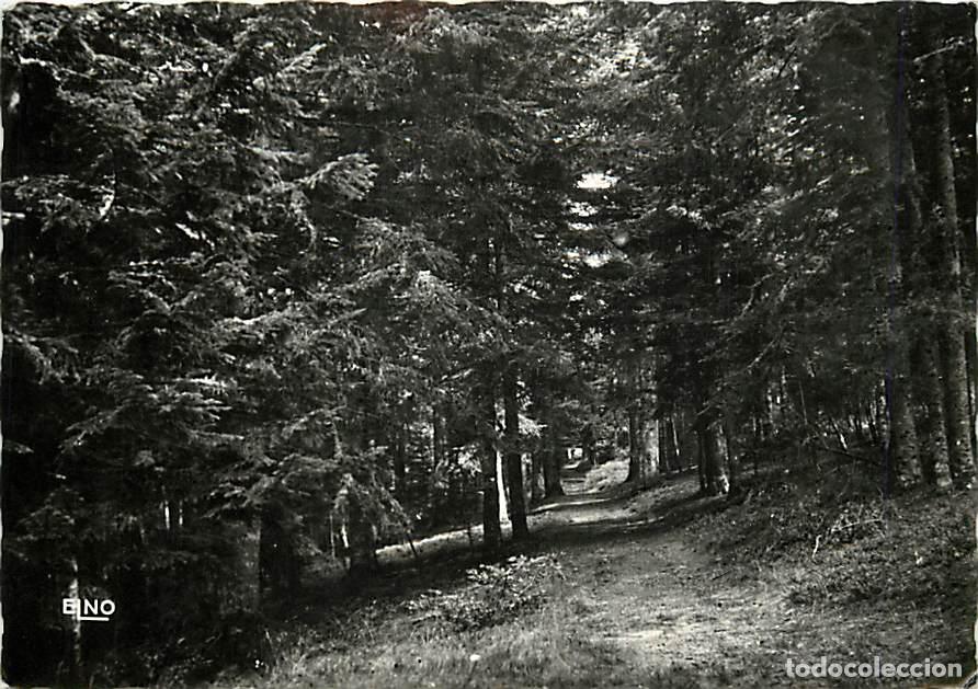 Postcards: Francia - Carte Postale - 07 - La Louvesc - Sous-bois et une des all&eacute;es du Bois de Versailles - Cart