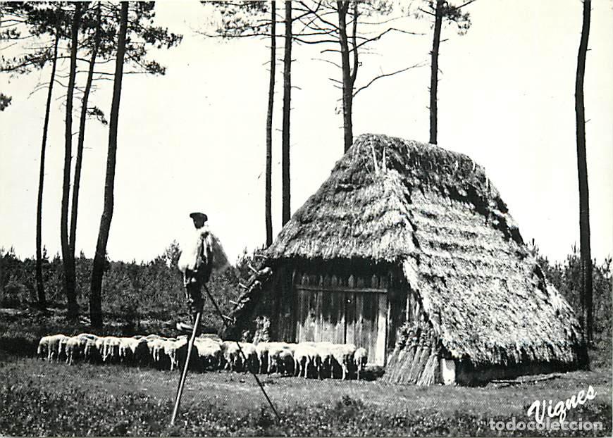Cartes Postales: Francia - Carte Postale - 40 - Landes - Les Landes d'Autrefois - Berger sur &eacute;chasses devant une Bord