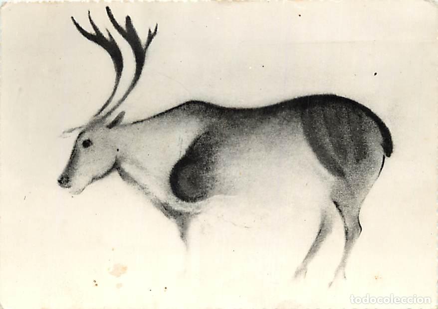 Postales: Francia - Carte Postale - 24 - Les Eyzies - Grotte de Font de Gaume - Renne - Art Peinture Pr&eacute;histor