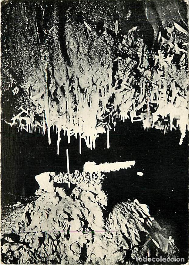 Cartoline: Francia - Carte Postale - 46 - Lacave - Grottes de Lacave - Excentriques en lumi&egrave;re noire - Sp&eacute;l&eacute;olo