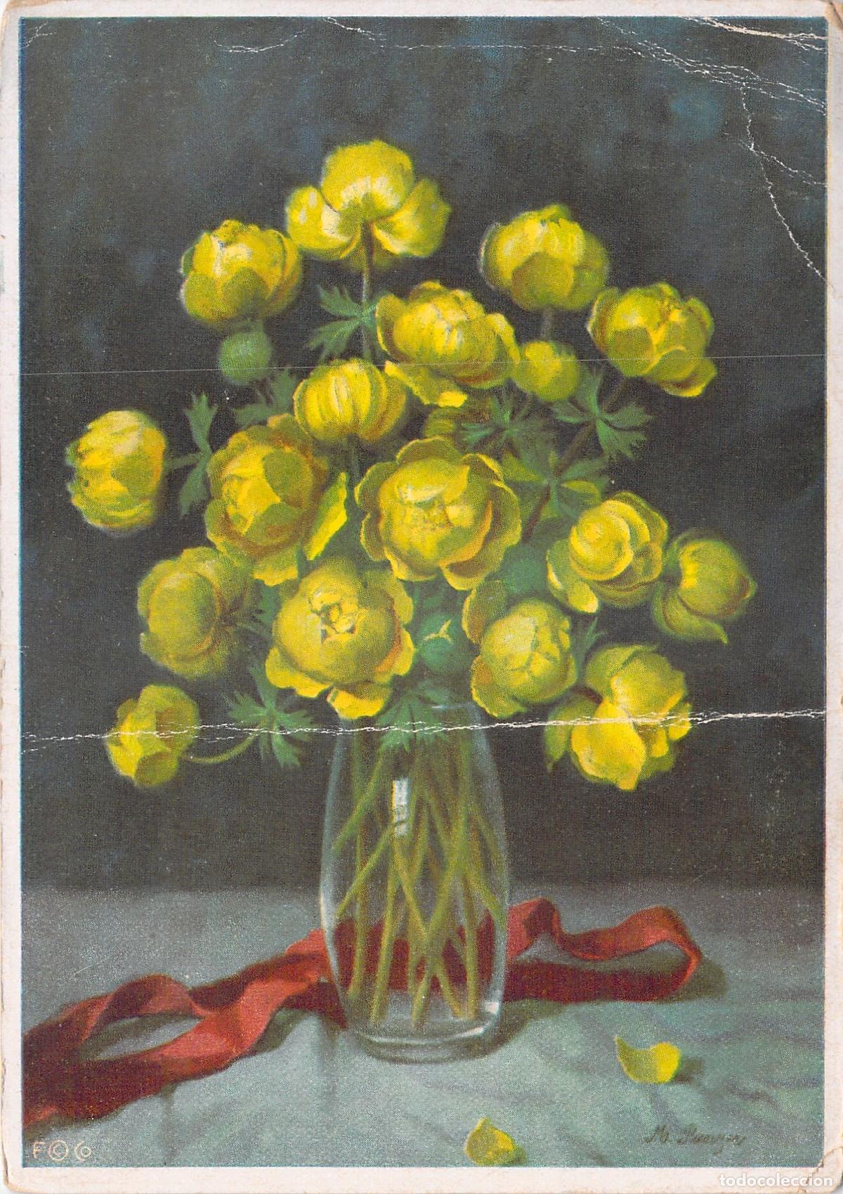 Postales: Postal de Flores Amarillas Trollius europaeus por M. Panzer