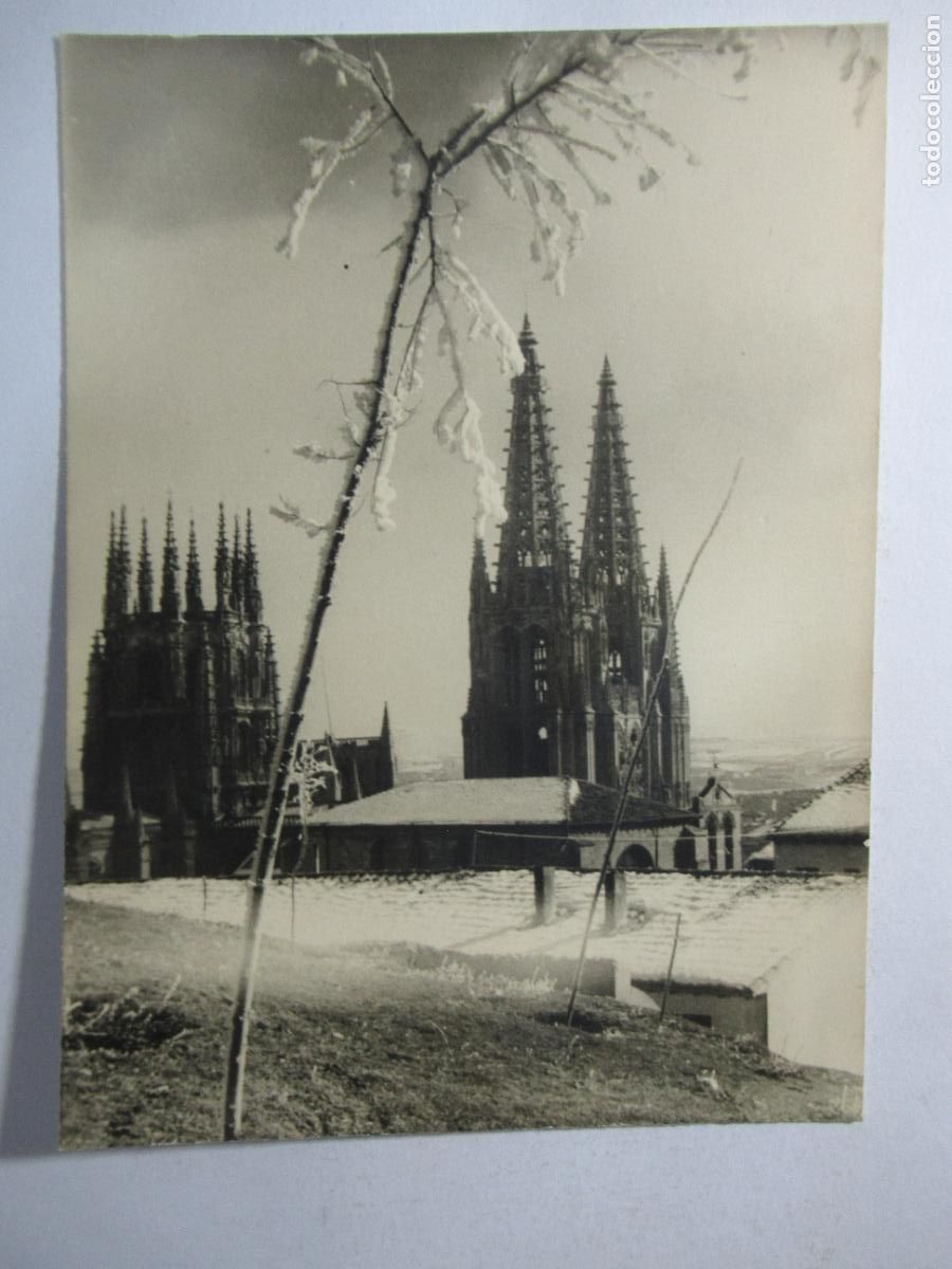 Postales: Postal sin identificar - S/C 12 x 9 cm.