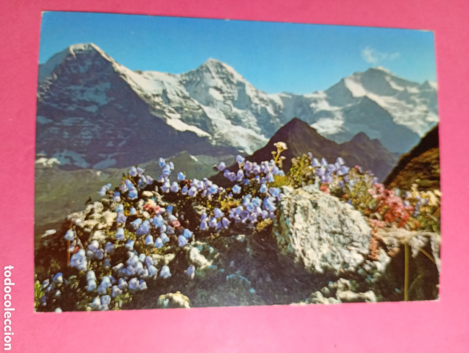 Postales: SUIZA COLOR CIRCULADA EIGER M&Ouml;NCH UND JUNGFRAU PHOTOGLOB 6419 Z&Uuml;RICH - R1573