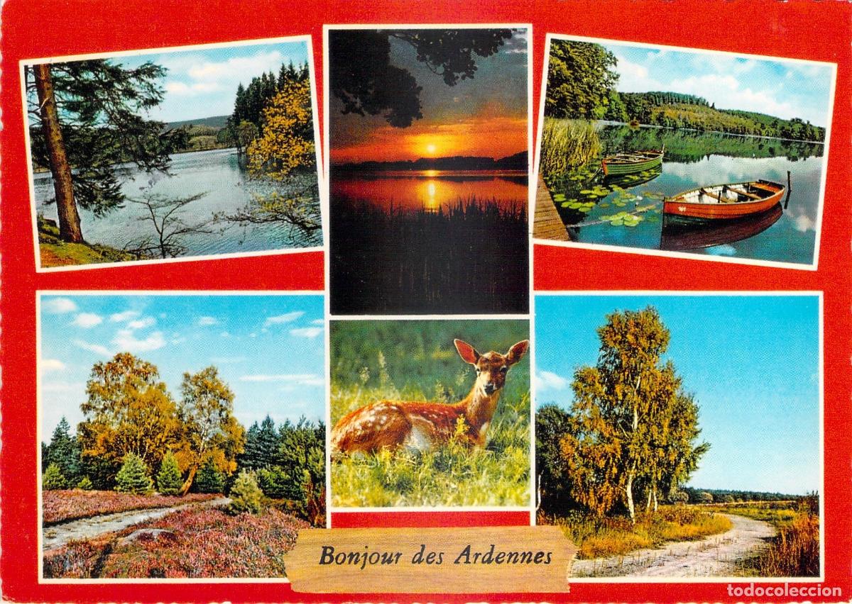 Postkarten: Postal de las Ardenas B&eacute;lgica con Im&aacute;genes de Naturaleza y Paisajes