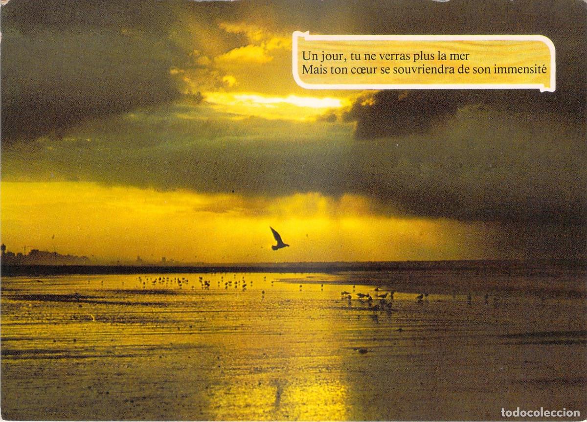 Postcards: Postal de Atardecer en Middelkerke con Poema en Franc&eacute;s