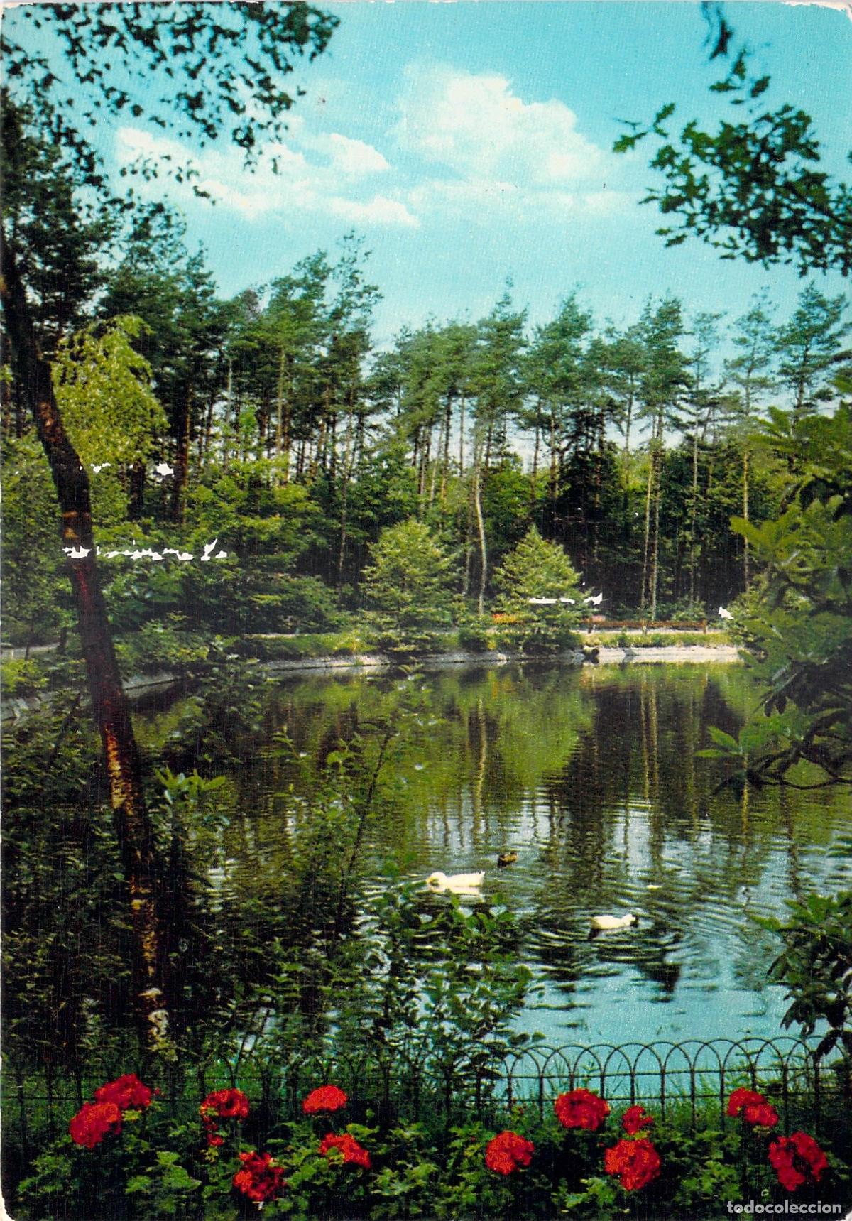 Cartoline: Postal del Parque y Estanque en Domein Hooidonk, Zandhoven, B&eacute;lgica