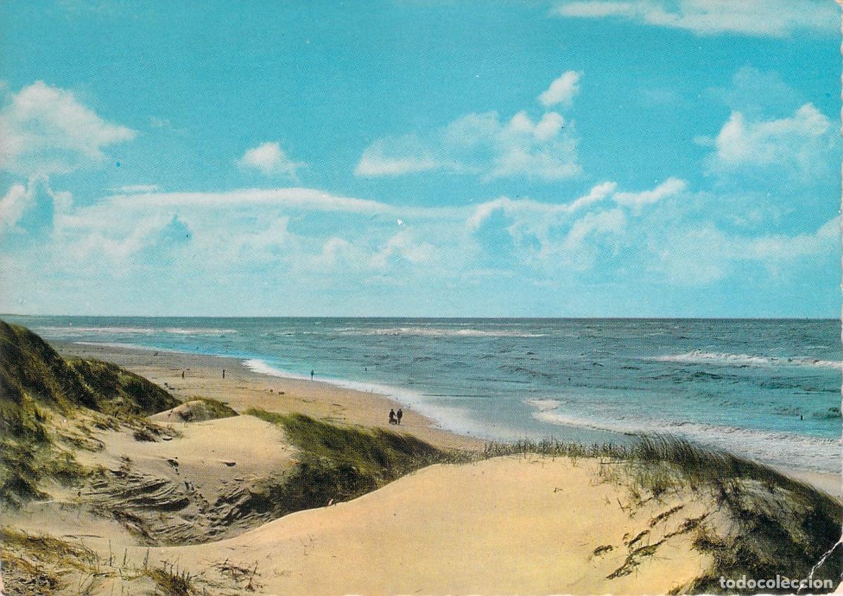 Postales: Postal de las Dunas y Playa en la Costa Belga