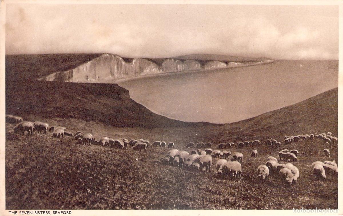 Postcards: Postal de los Acantilados Seven Sisters y Ovejas en Seaford, Inglaterra