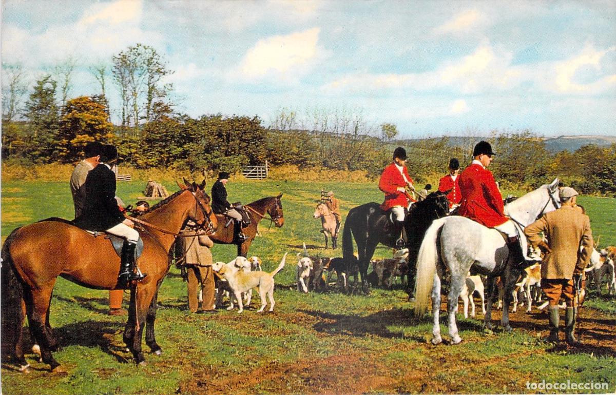 Postales: Postal de la Cacer&iacute;a Exmoor Hunt en Somerset Inglaterra