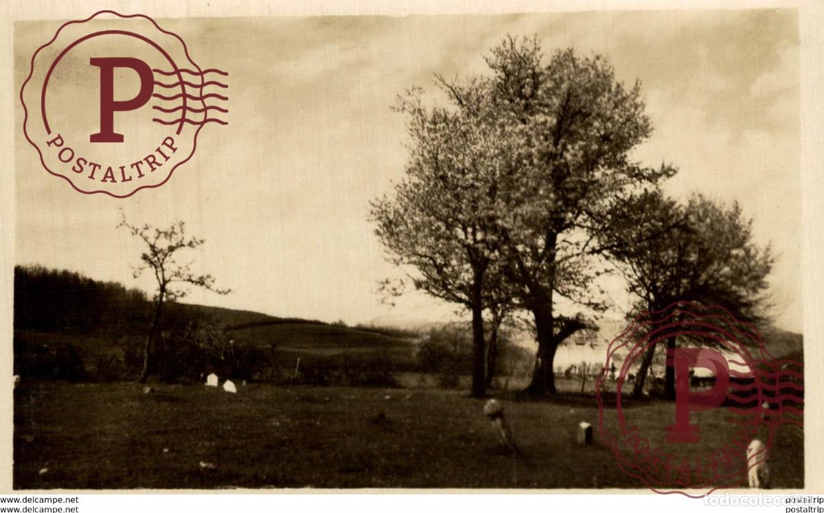 Cartoline: RPPC SARAJEVO BOSNIA Y HERZEGOVINA BOSNIEN UND HERZEGOWINA