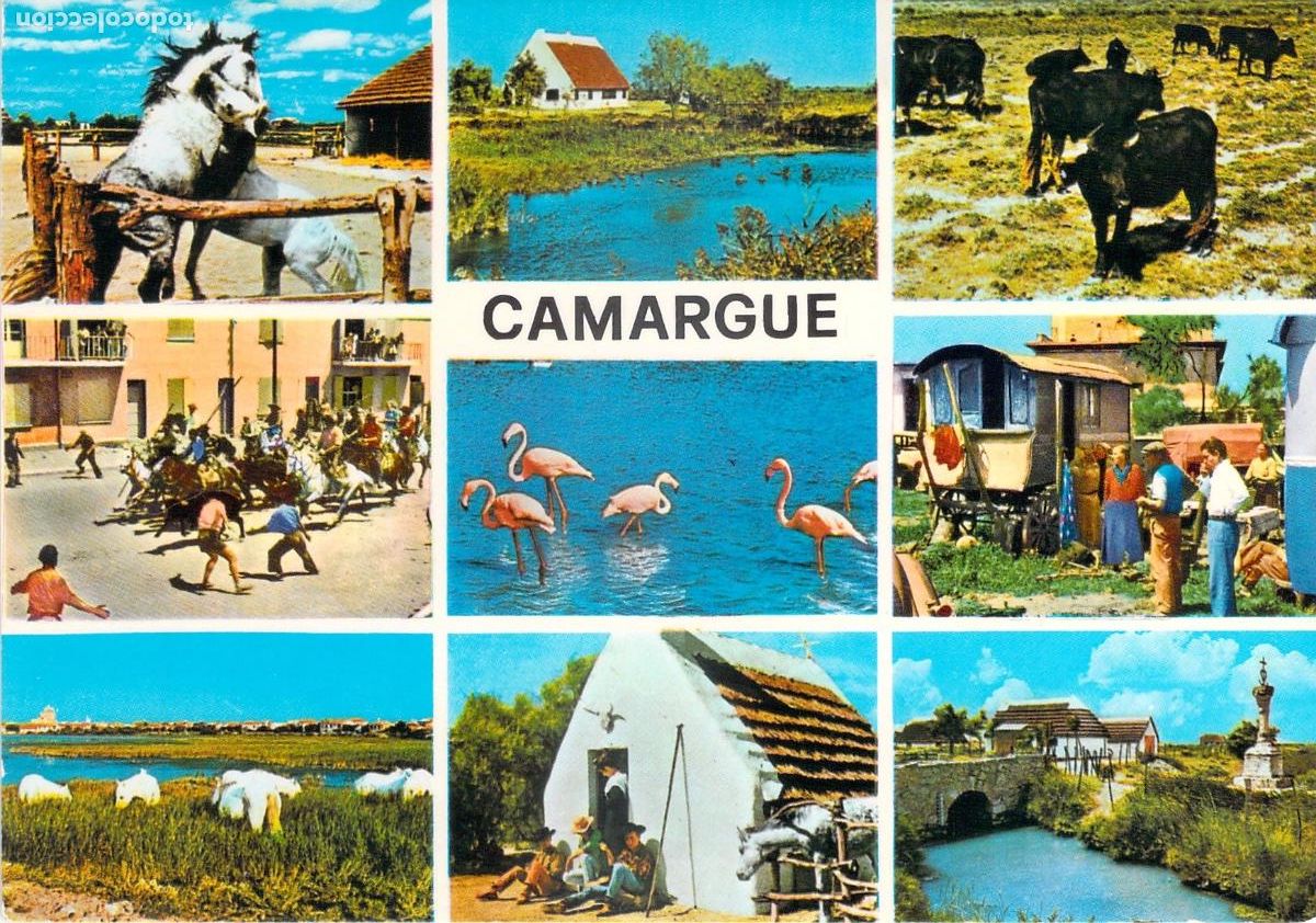 Postcards: Postal Tur&iacute;stica de Camargue Francia Multivista Fauna y Tradici&oacute;n