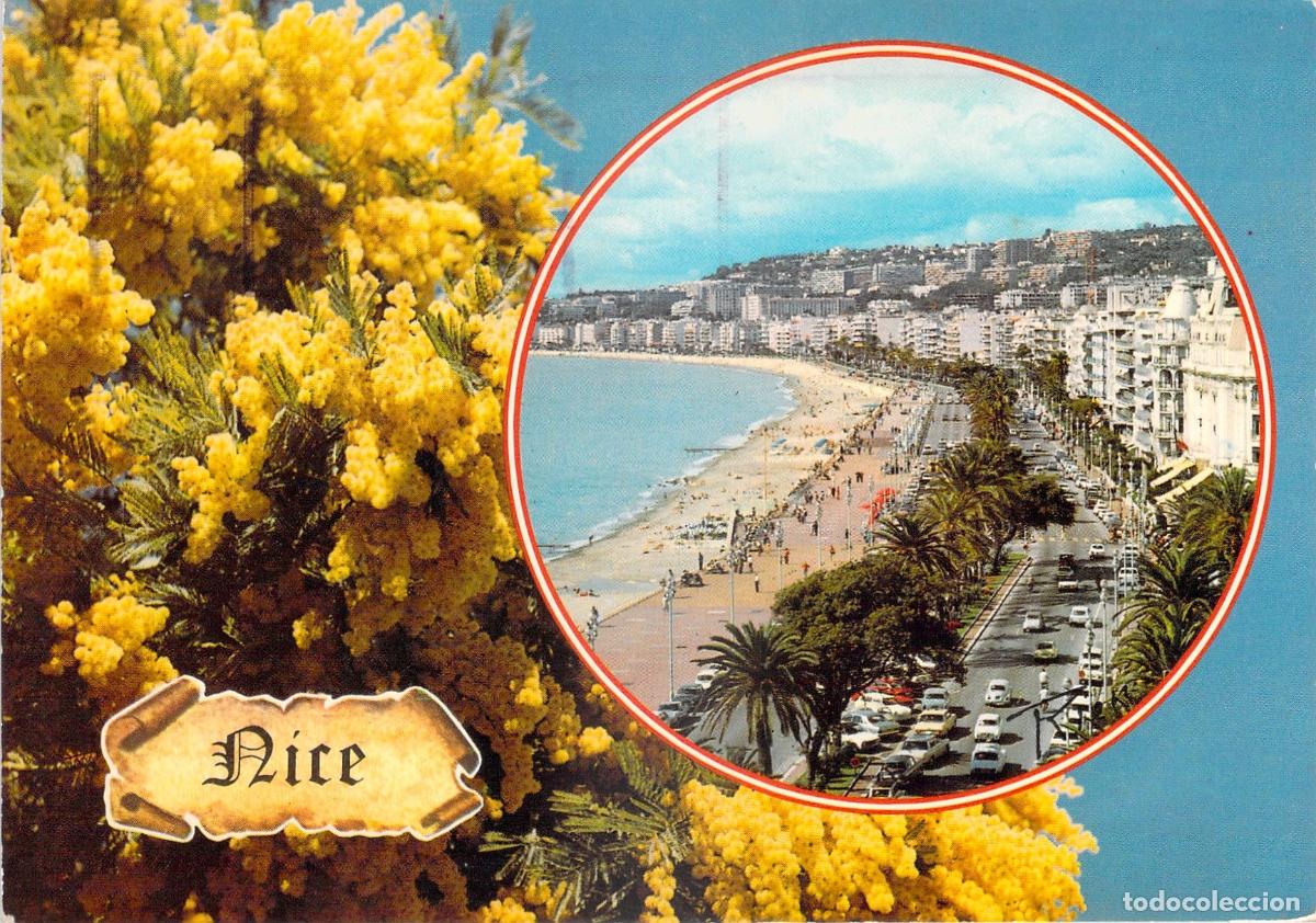 Postais: Postal de Niza Francia: Promenade des Anglais y Flores de Mimosa