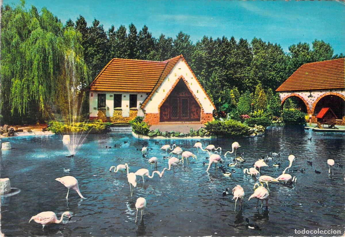 Postales: Postal Meli-Park Adinkerke De Panne Parque Ornitol&oacute;gico B&eacute;lgica