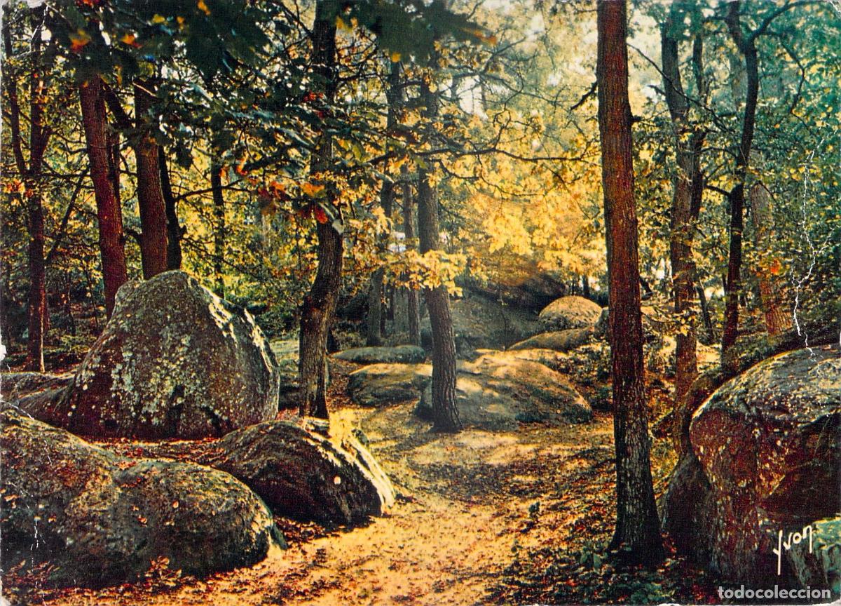 Postales: Postal de Francia Bosque de Fontainebleau Melod&iacute;a Oto&ntilde;al
