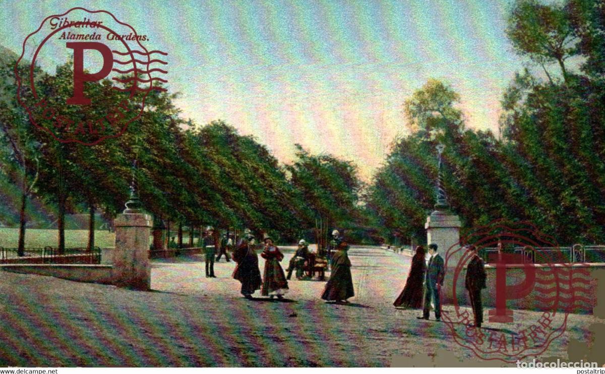 Postales: GIBRALTAR ALAMEDA GARDENS - Foto 1