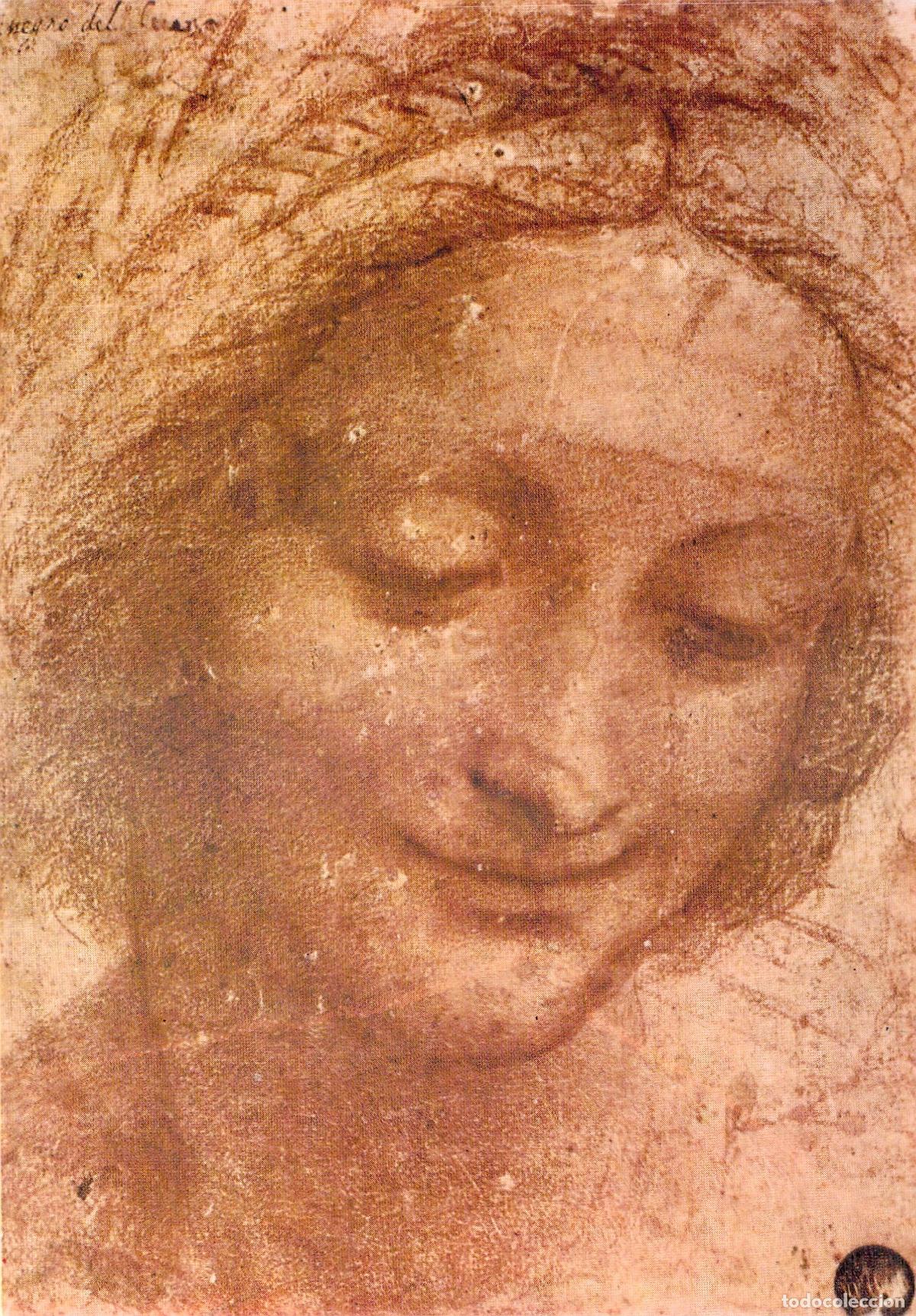 Postales: Tarjeta Postal Leonardo da Vinci Sant'anna Boceto Renacentista