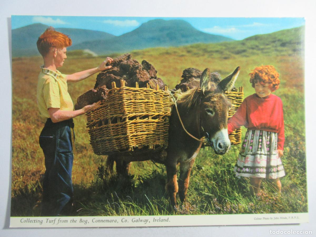 Postales: Ireland / Irlanda - Collecting Turf from the Bog. Connemara, Co. Galway - S/C