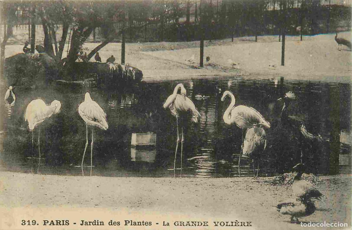 Postais: Carte Postale Ancienne - 75 - Paris - Jardin des Plantes - La grande voli&egrave;re - Zoo - CPA - Voir Scan