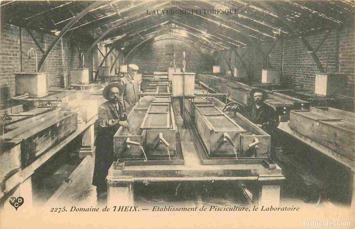 Postkarten: Carte Postale Ancienne - 63 - Theix - Domaine de theix - etablissement de pisciculture - le laborato