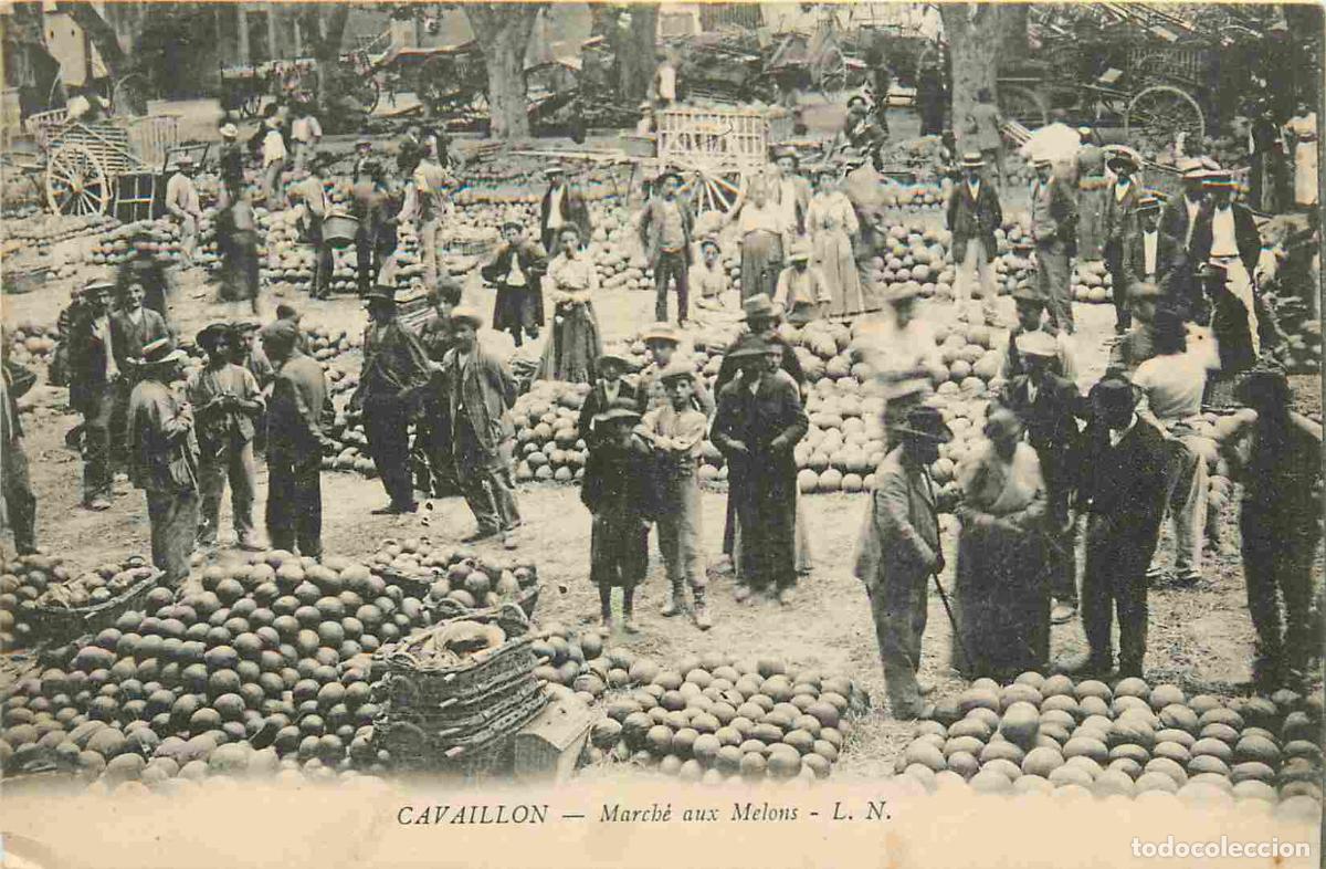 Postales: Carte Postale Ancienne - 84 - Cavaillon - March&eacute; aux melons - Anim&eacute;e - CPA - Voir Scans Recto-Verso