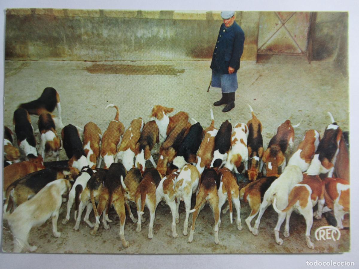 Postales: Francia - Cheverny - Circulada - Foto 1