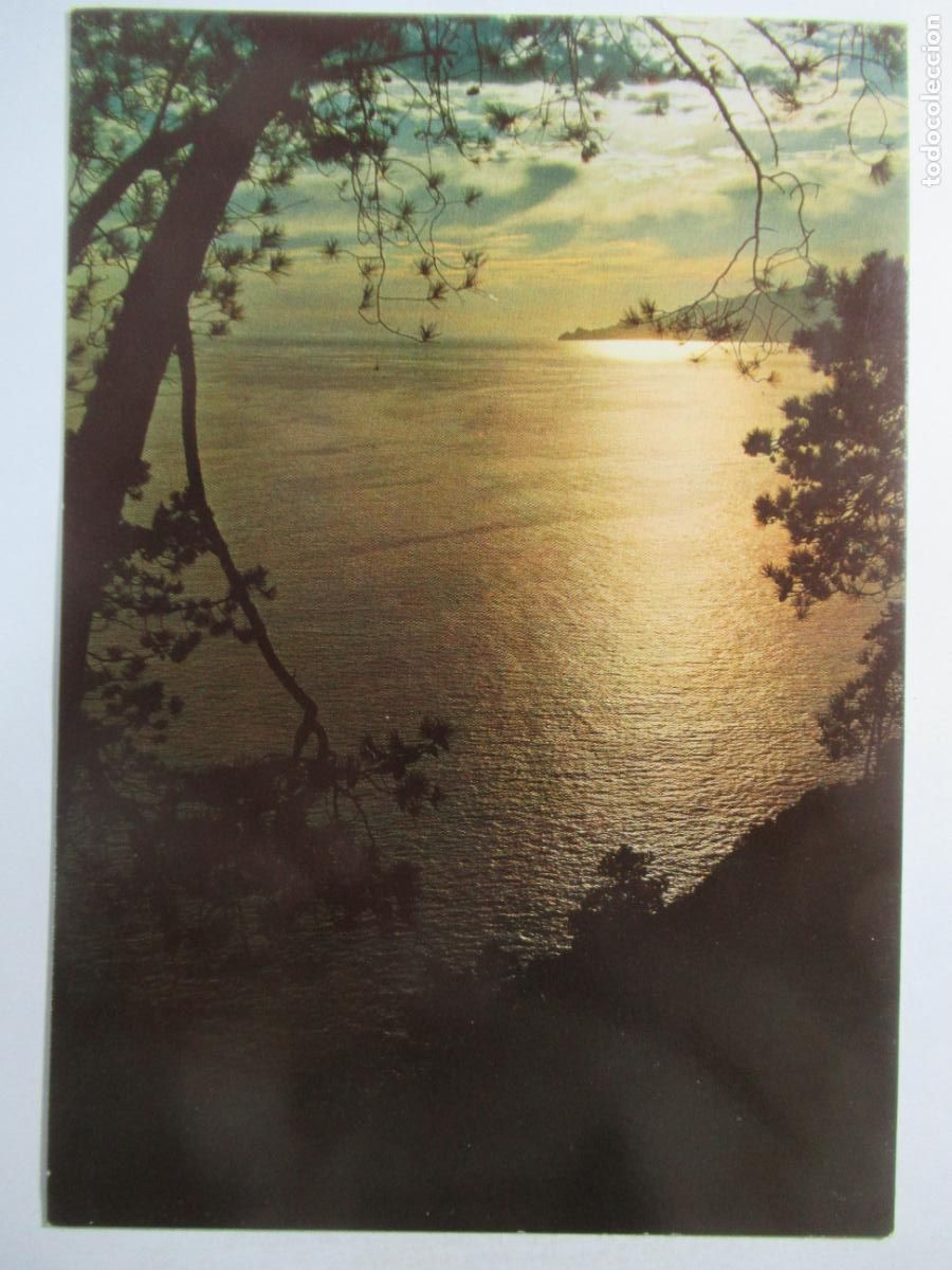 Postales: Francia - Coucher de Soleil sur nos Merveilleux Rivages - Escrita