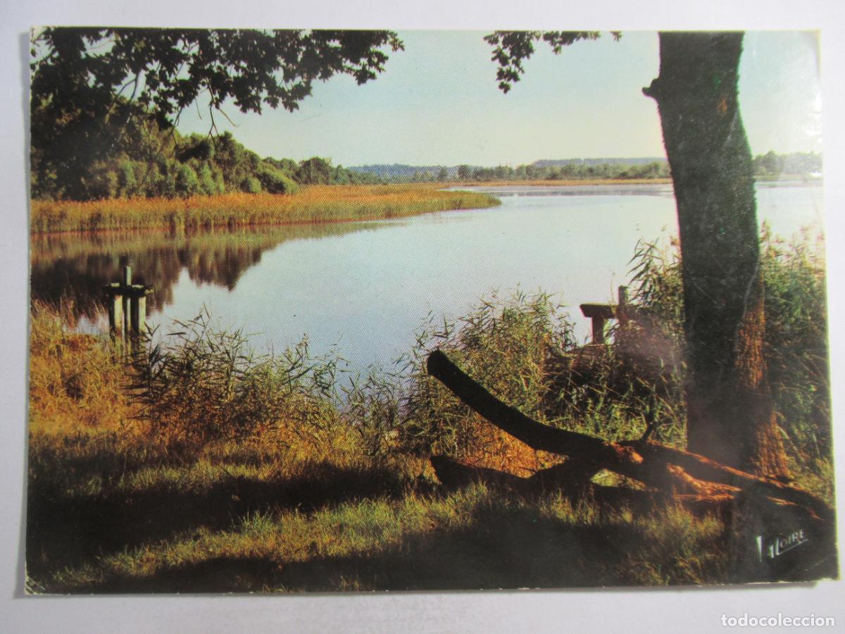 Postales: Francia - En Sologne - Circulada - Foto 1