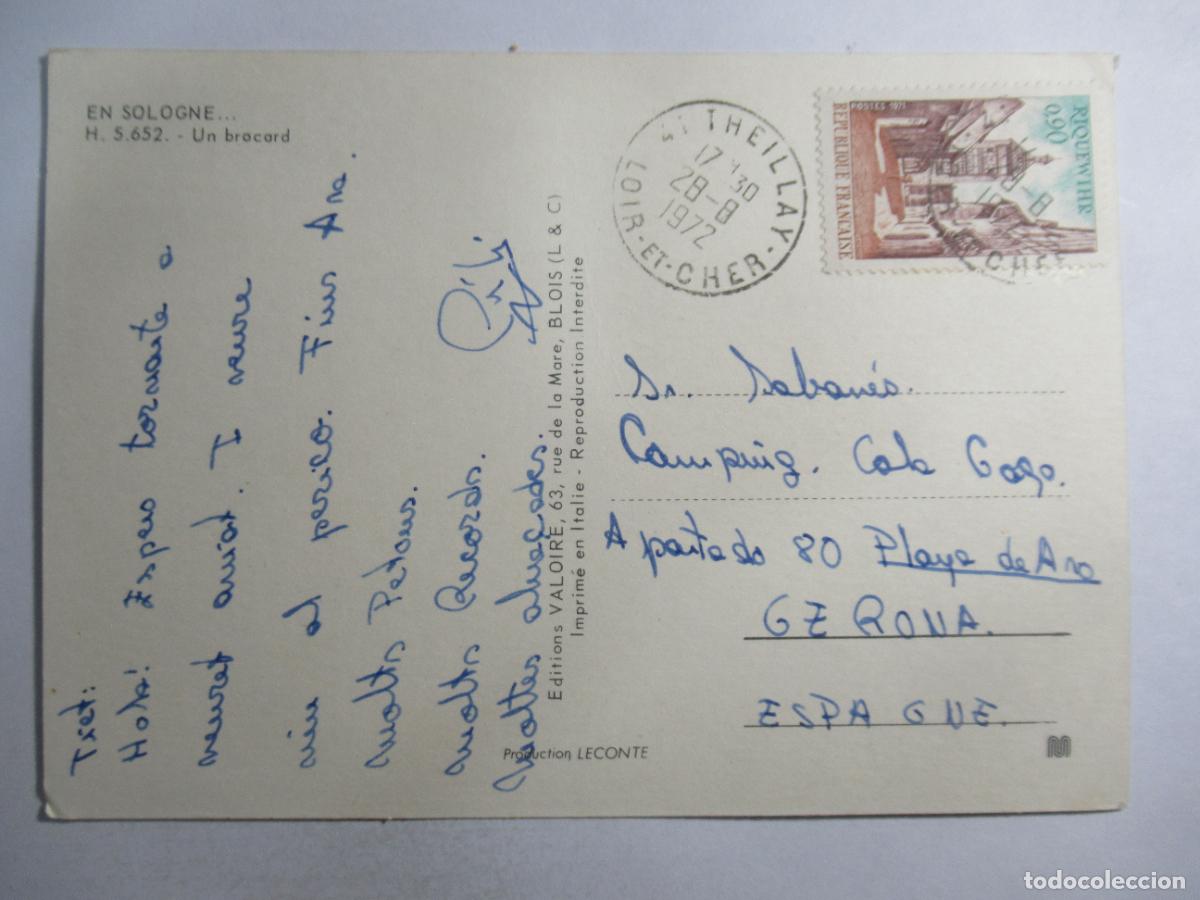 Postales: Francia - En Sologne - Circulada - Foto 2