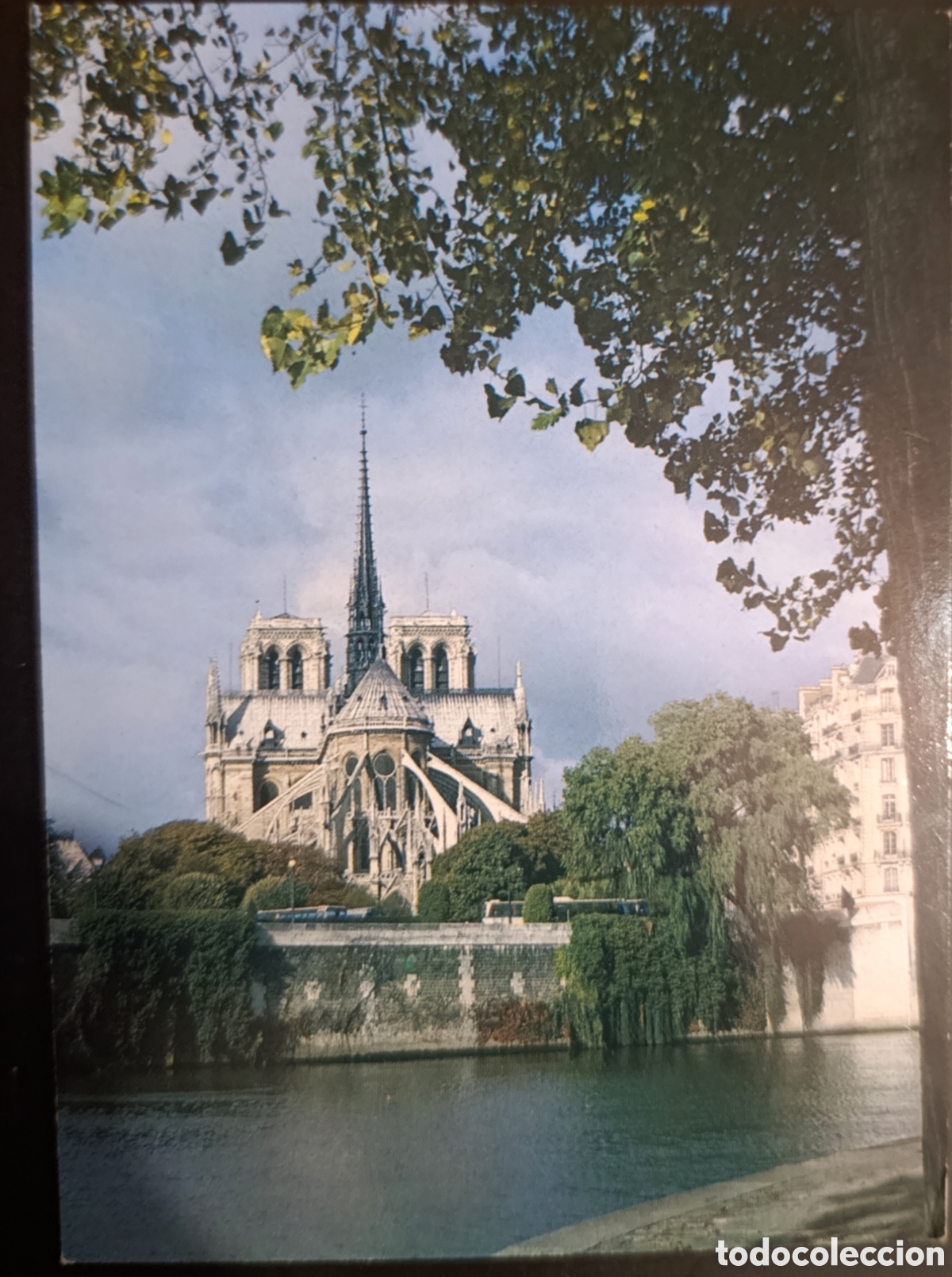 Postales: Catedral de Notre-Dame de Par&iacute;s, - Foto 1