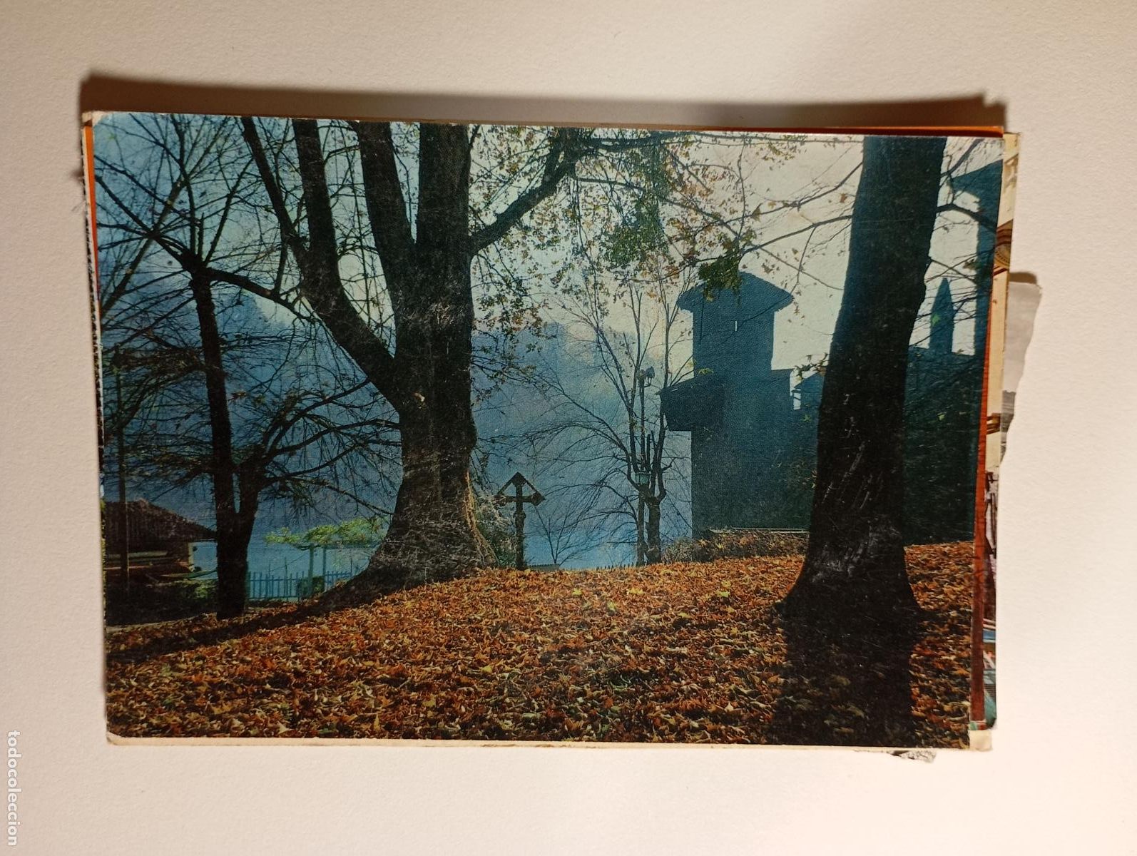 Postcards: POSTAL DE ITALIA. TDKP26Z4