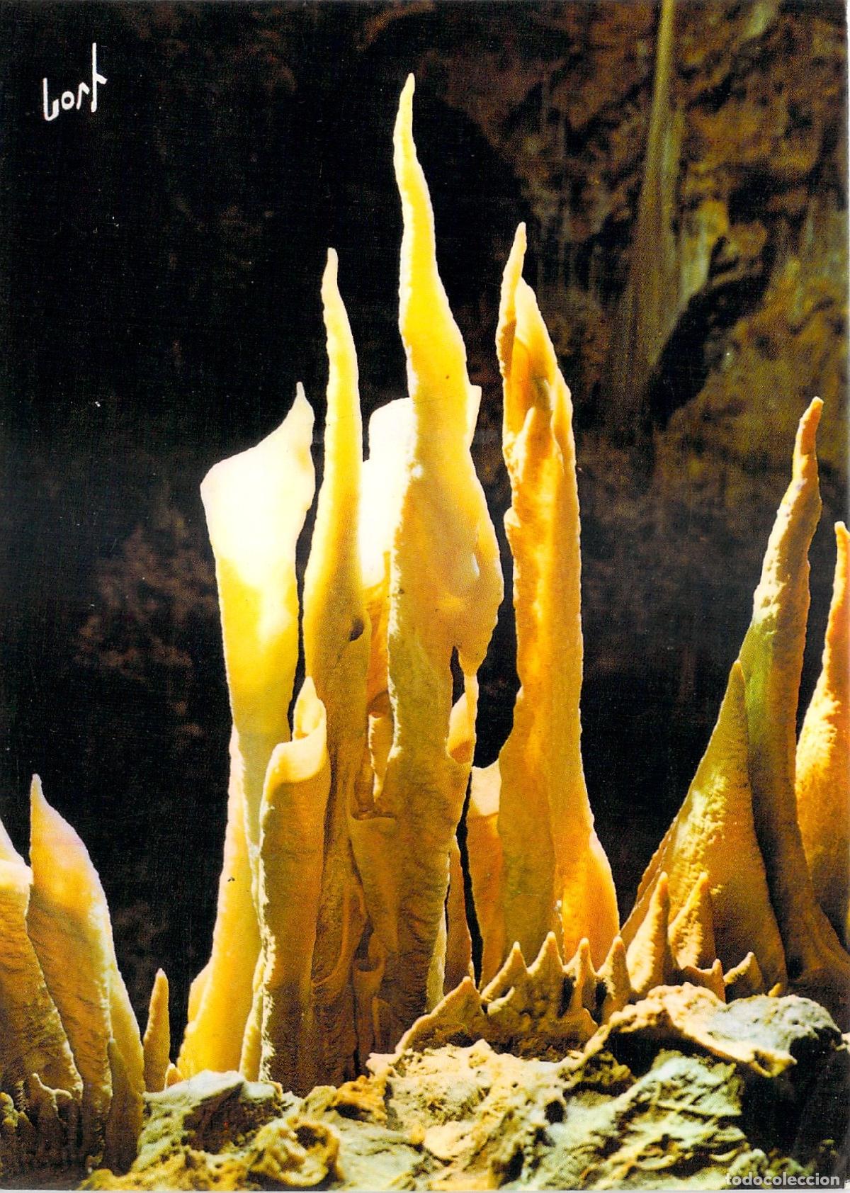 Postcards: Postal Grotte de Clamouse, Orejas de Elefante, Languedoc-Roussillon, Francia