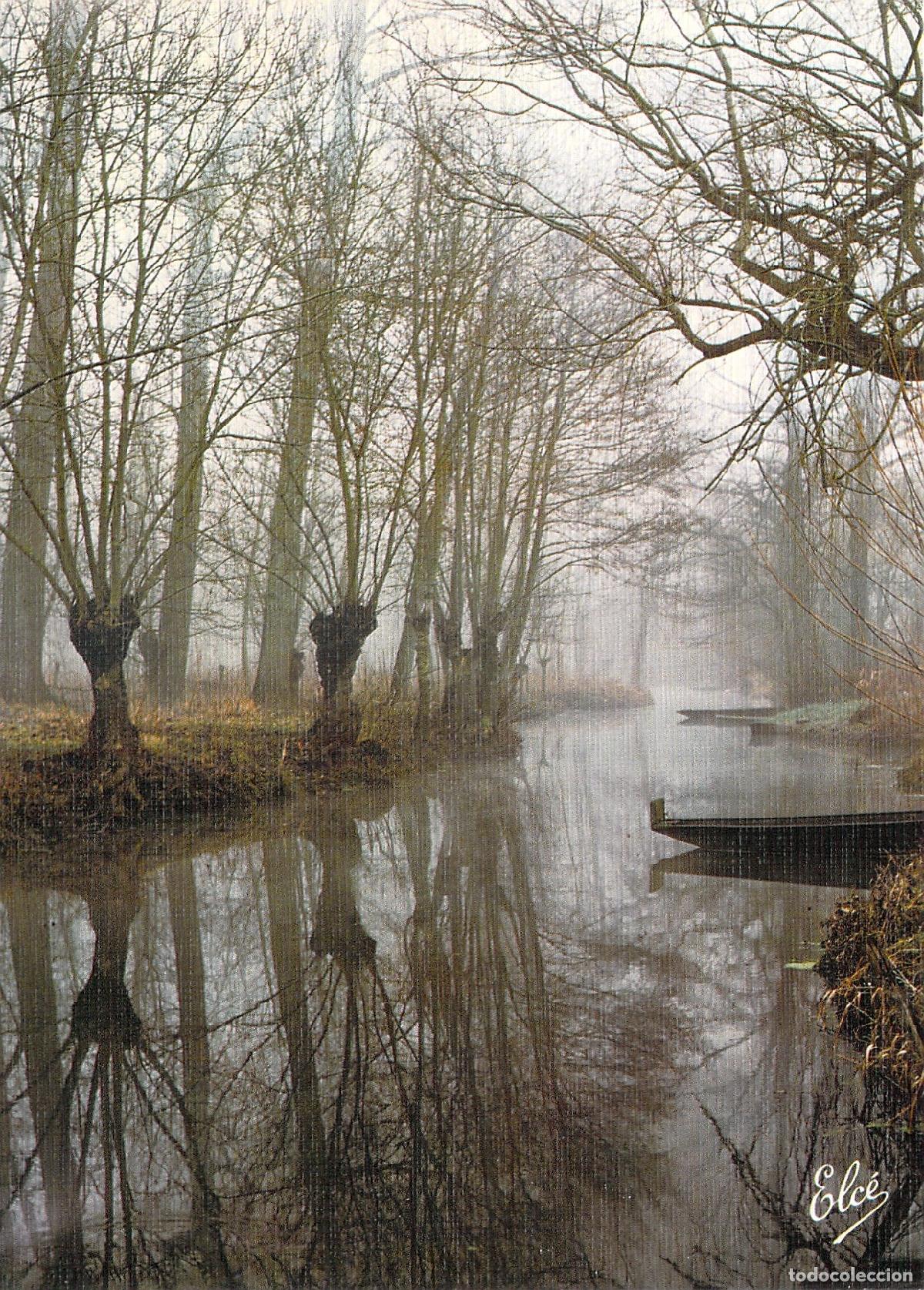 Cartes Postales: Postal Marais Poitevin Francia Paisaje con Niebla y Canales