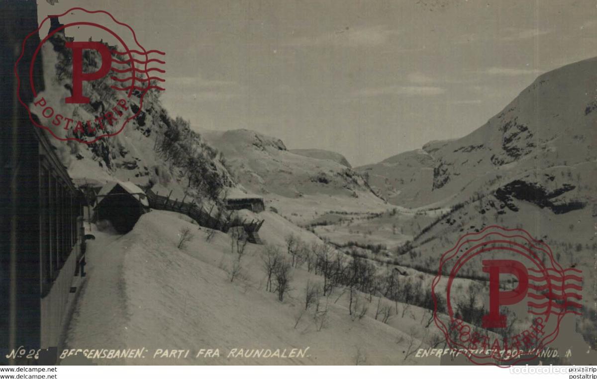 Postales: NORUEGA NORWAY NORGE. BERGENSBANEN PARTI FRA RAUNDALEN. - REAL PHOTO