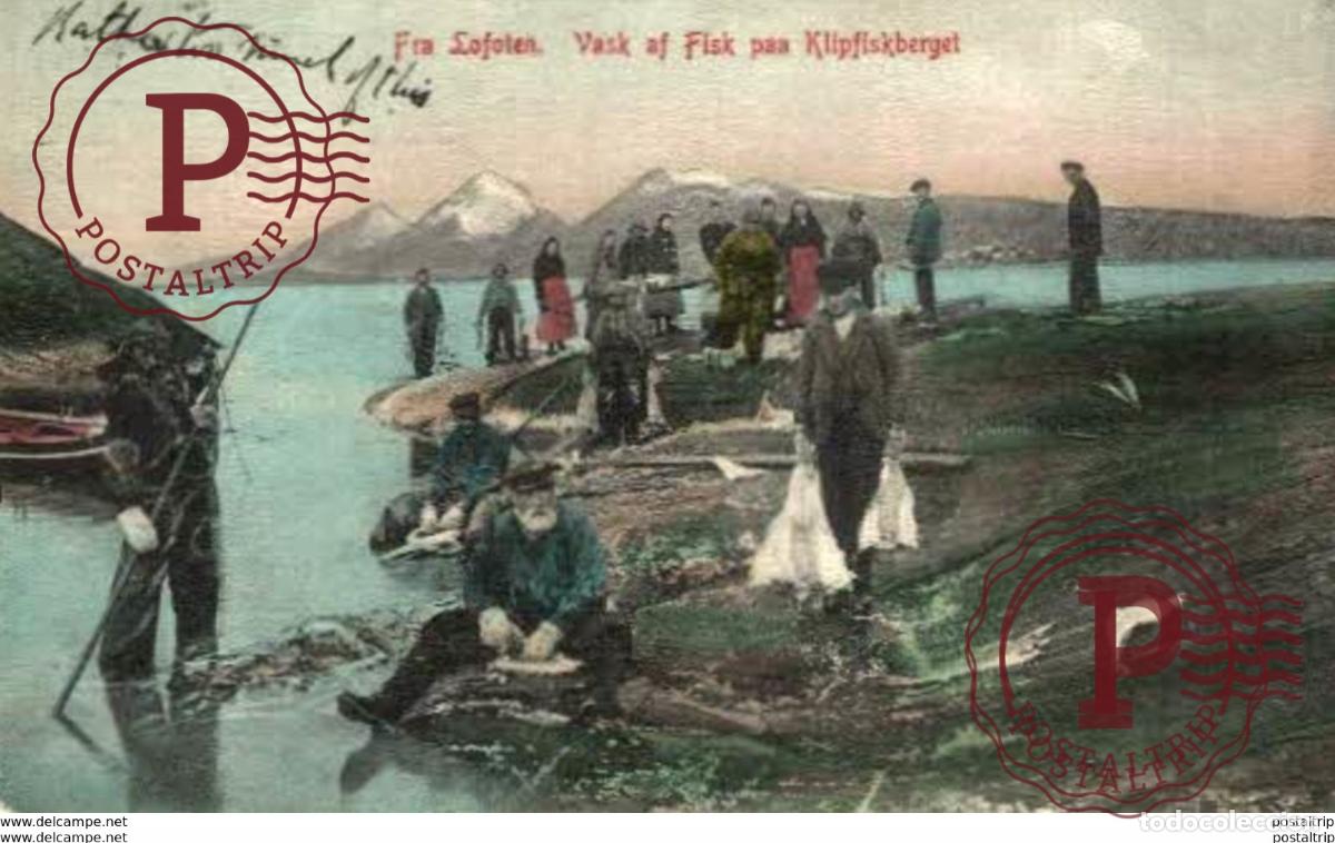 Cartes Postales: NORWAY NORGE FISHING FISHERMEN , FRA LOFOTEN. VASKAF FISK PAA KLIPFISKBERGET