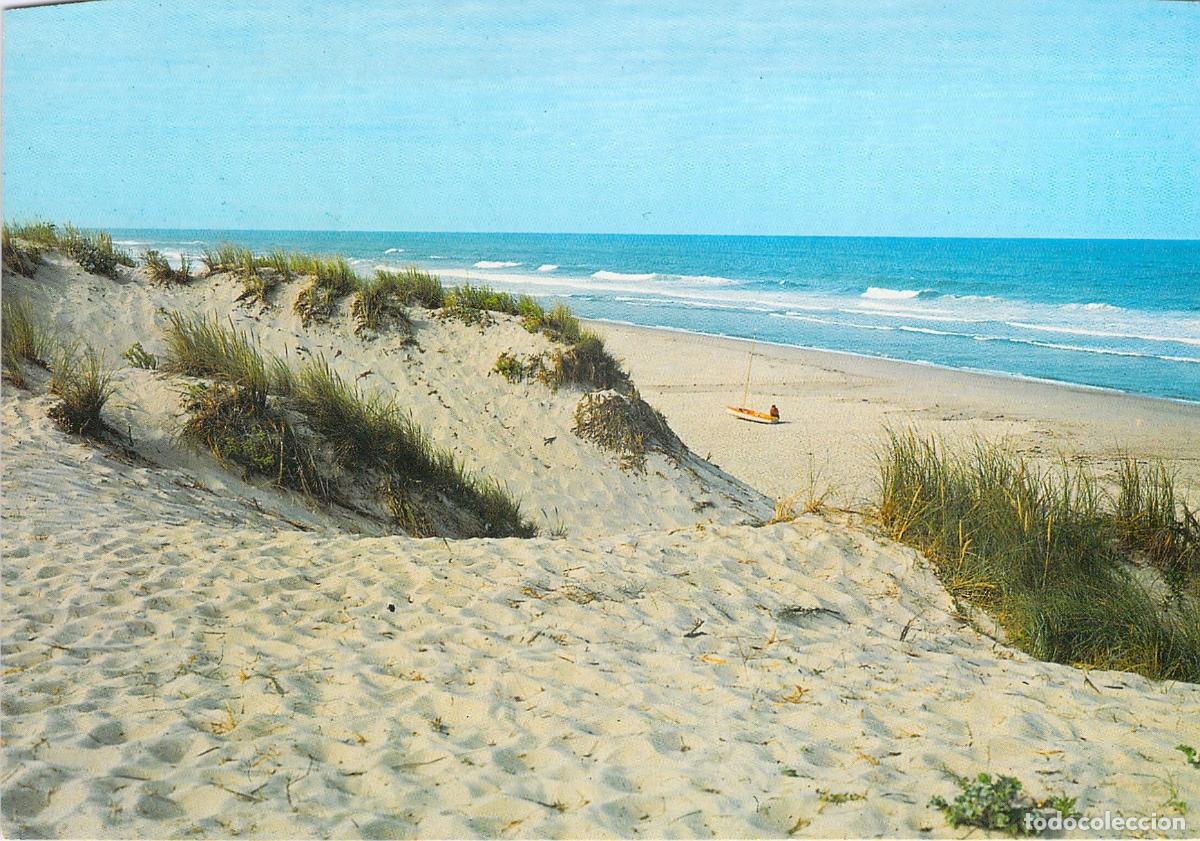 Postales: Tarjeta Postal de Paisaje de Playa con Dunas y Poema de Baudelaire