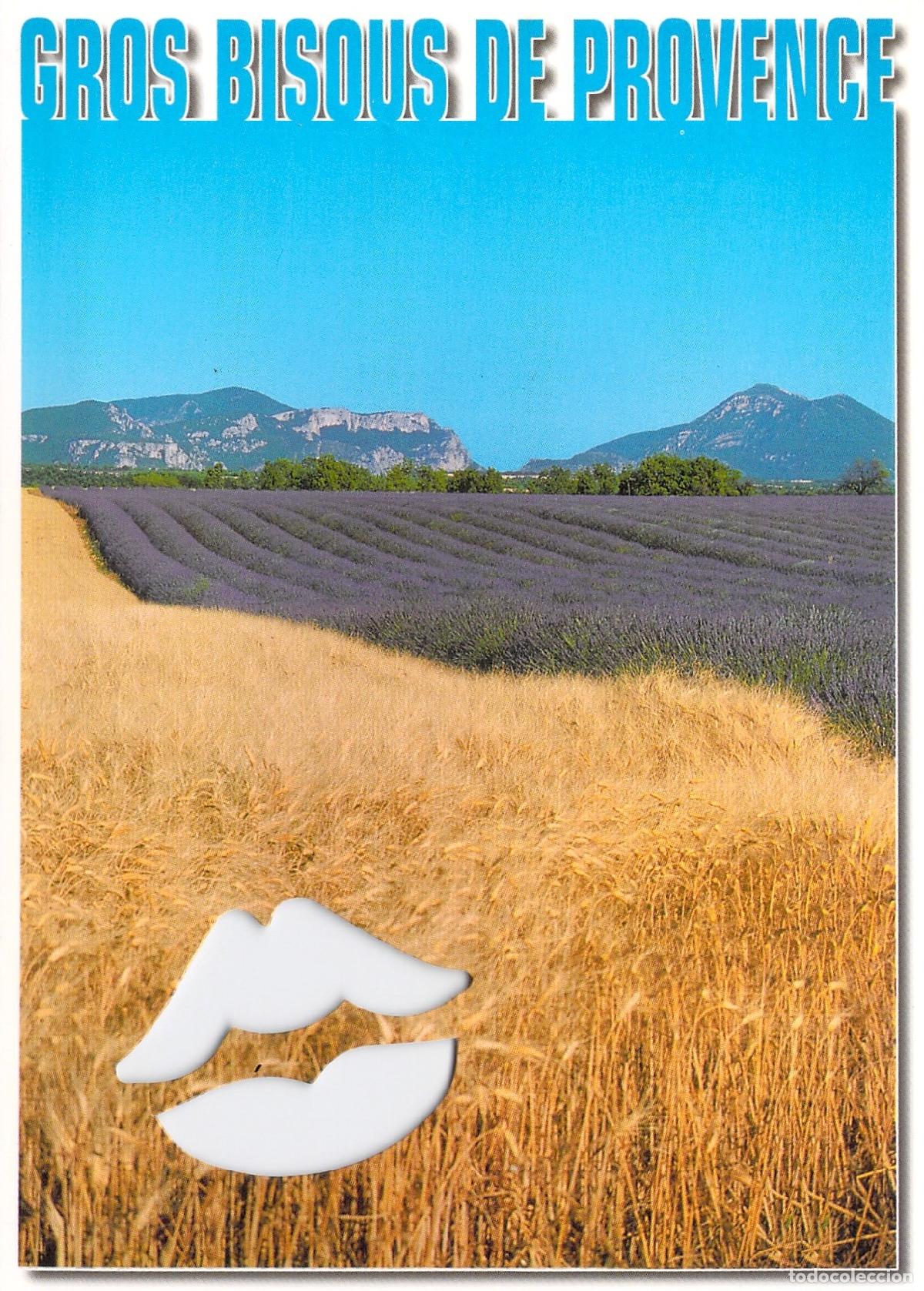Postales: Postal Paisaje de Provenza con Campos de Lavanda y Trigo