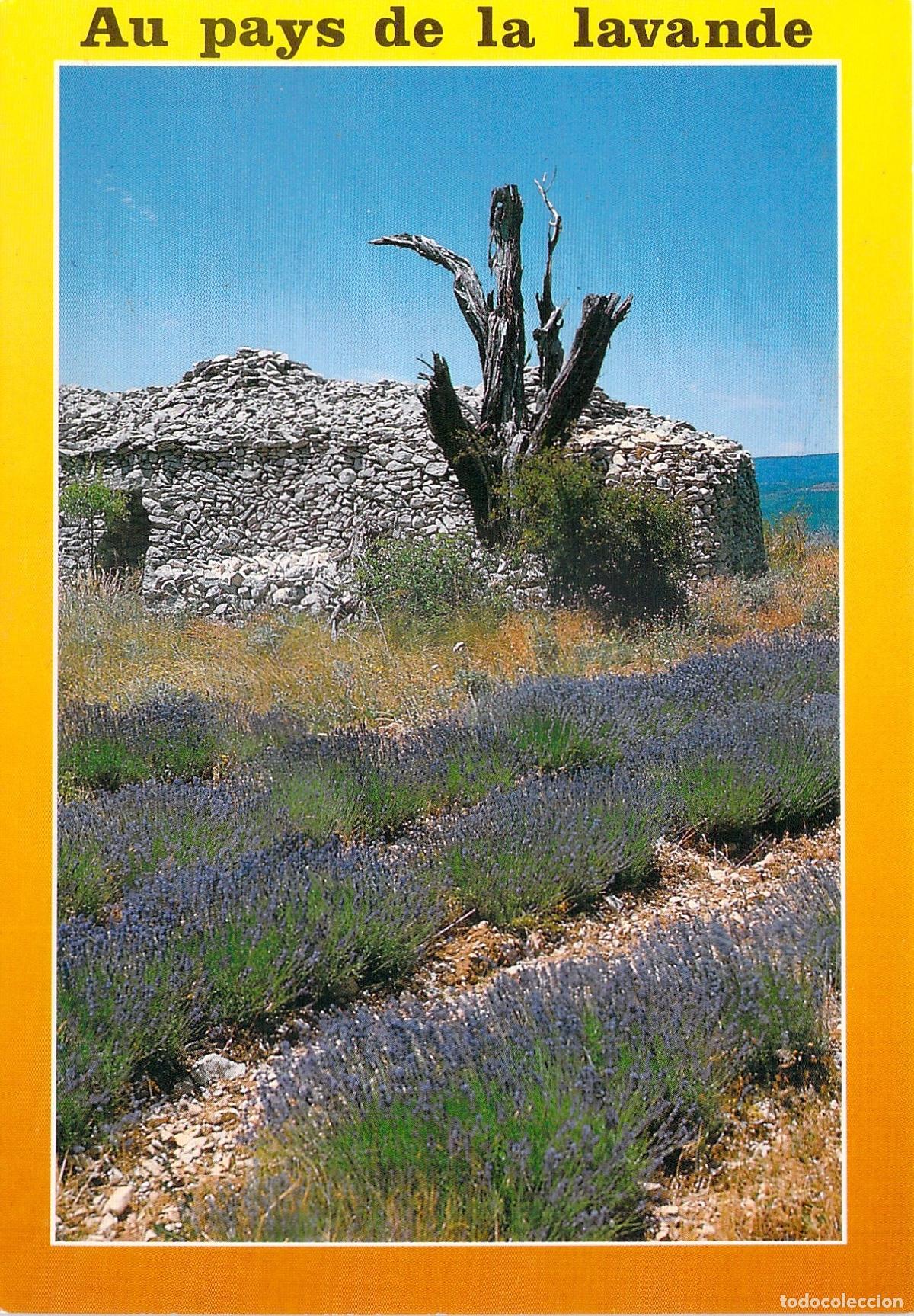 Postales: Postal de los campos de lavanda y arquitectura rural en Provenza