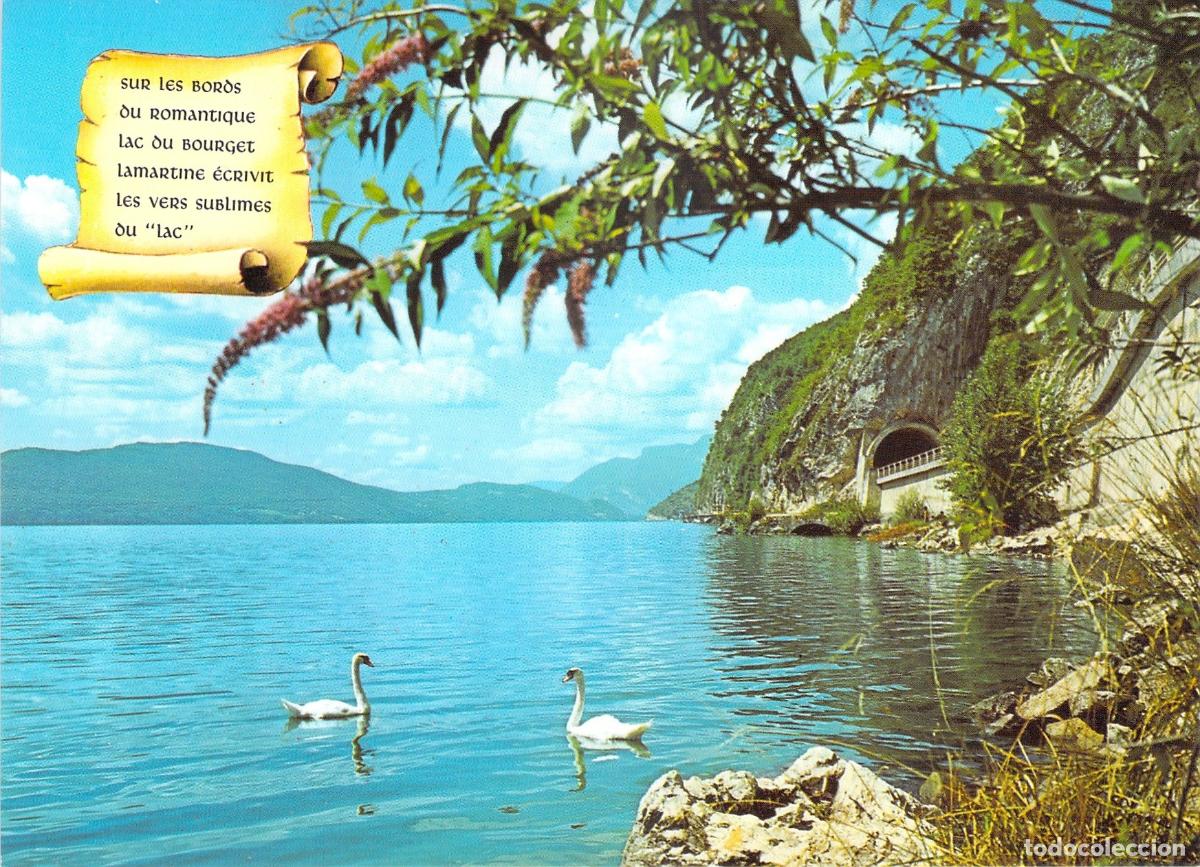 Postales: Postal del Lago de Bourget en Saboya con Cisnes