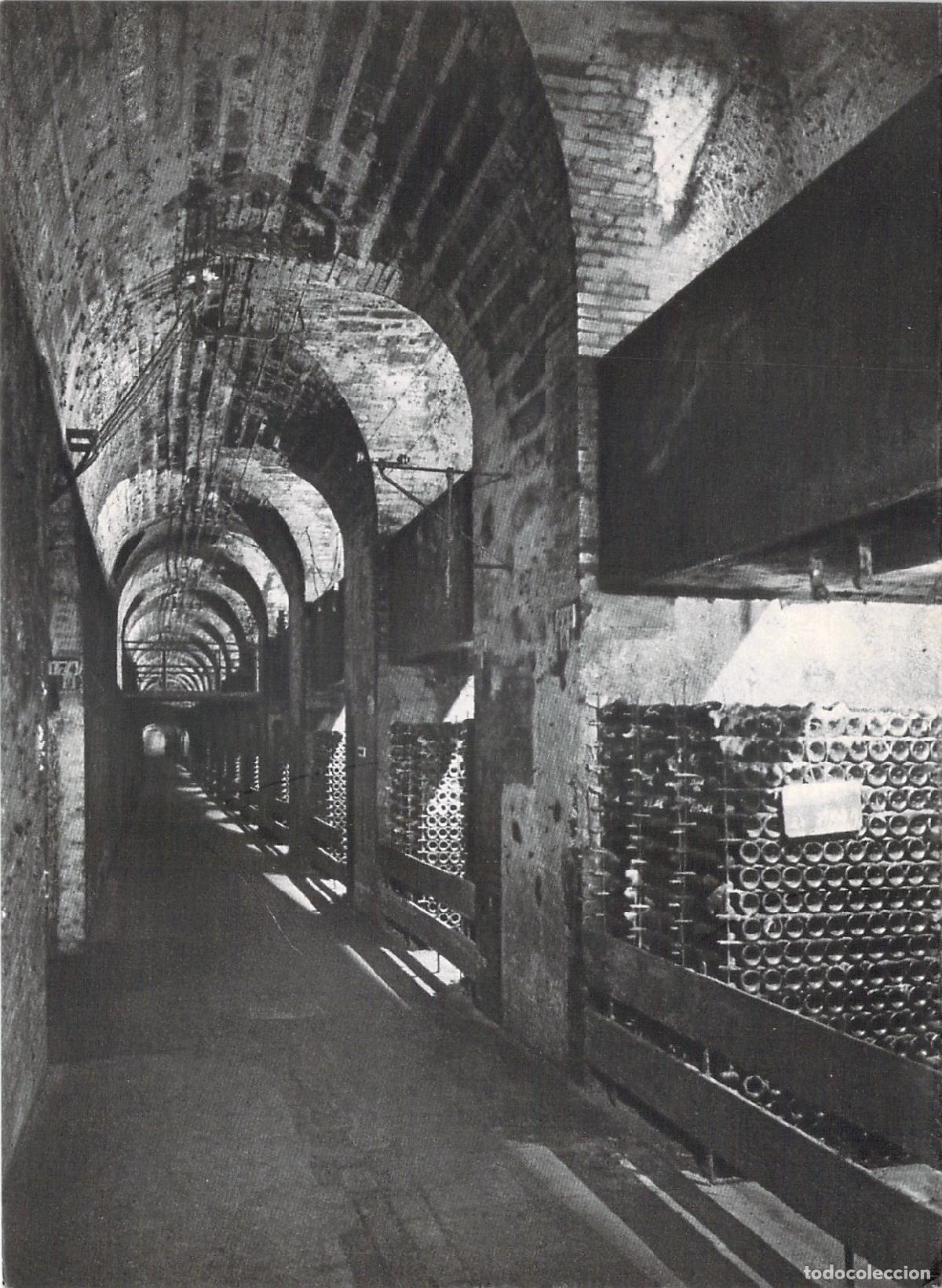 Postales: Postal Mo&euml;t & Chandon &Eacute;pernay Bodegas Vins sur lattes